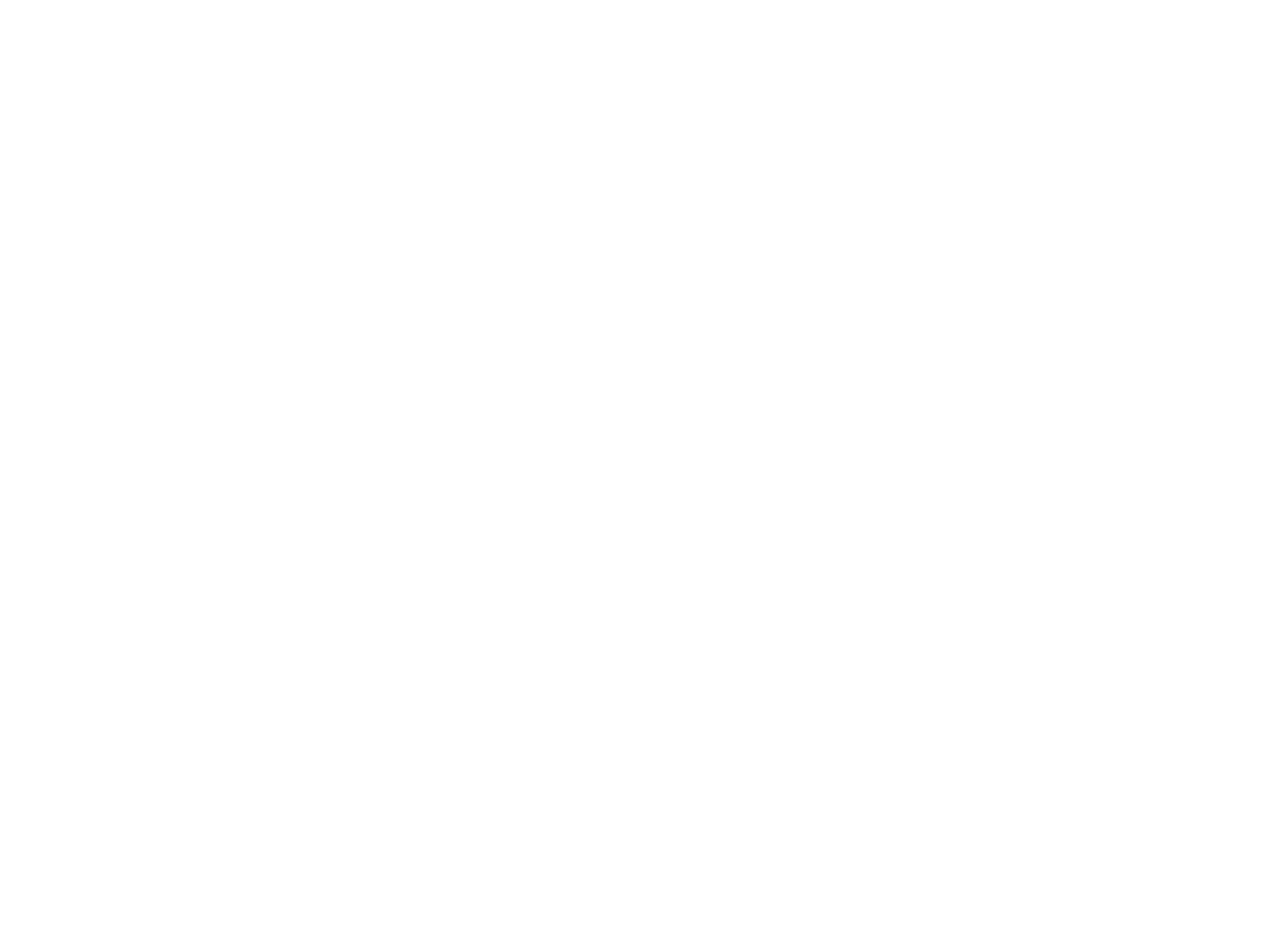 BAREG GROUP